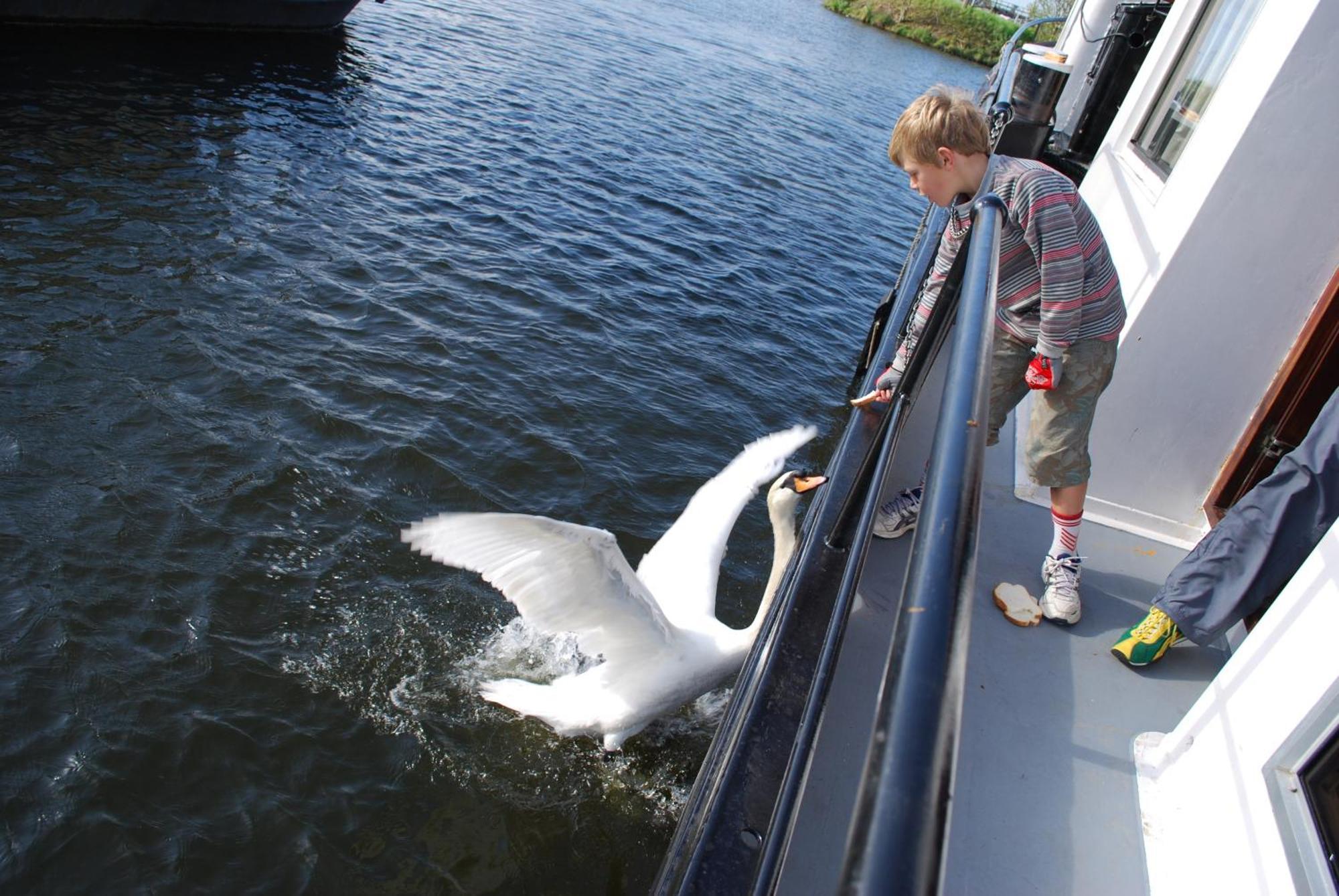 Hotelboot Zwaan อัมสเตอร์ดัม ภายนอก รูปภาพ